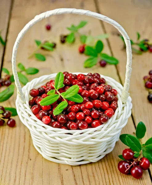 Lingonberries in a white wicker basket — Stock Photo, Image