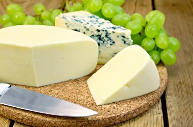 mavi peynir ve suluguni yönetim kurulu