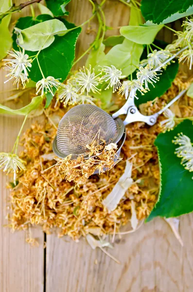 Chá de ervas de flores de tília em um filtro de chá — Fotografia de Stock