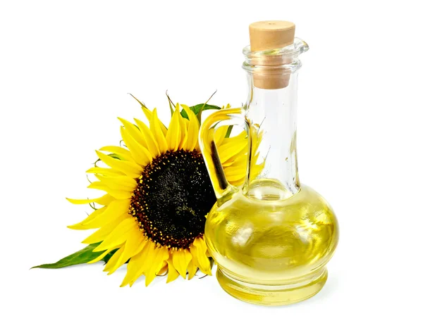 Olio vegetale in una caraffa con un girasole — Foto Stock