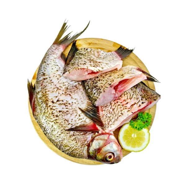 Bream raw on a round board with lemon and parsley — Stock Photo, Image