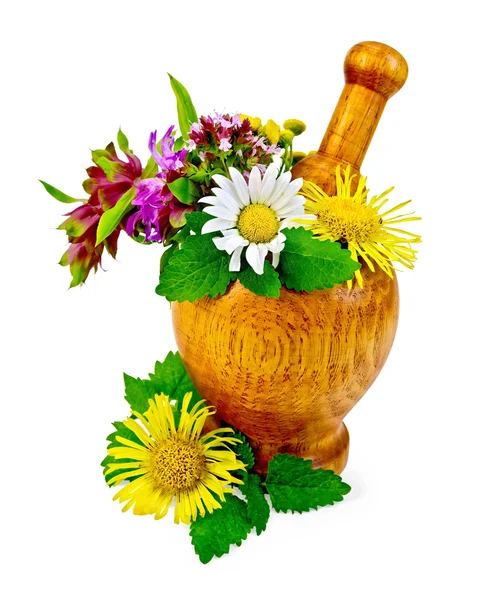 Herbs and flowers in a mortar and table — Stock Photo, Image