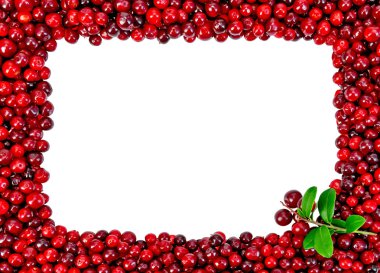 foxberry sapı ile gelen çerçeveli