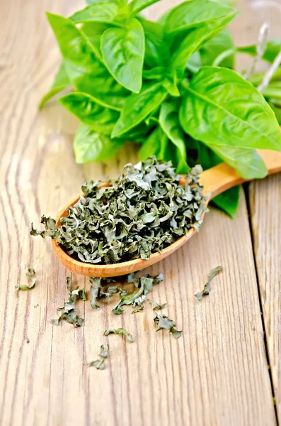 Basil green fresh and dry in a spoon on the board — Stock Photo, Image