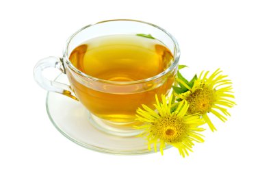 elecampane bir cam bardak bitkisel çay