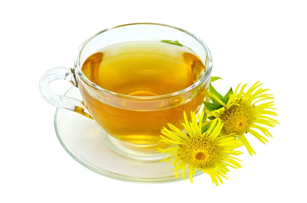 Травяной чай с электроампаном в стакане — стоковое фото