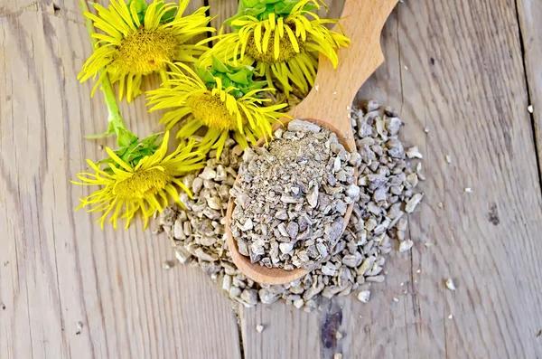 Herbal tea from the root of Elecampane on a spoon on top — Stock Photo, Image