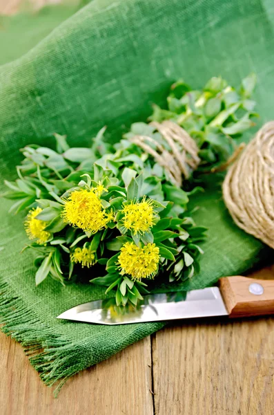 Rhodiola rosea bıçak ve bobin bir gemide ip ile — Stok fotoğraf