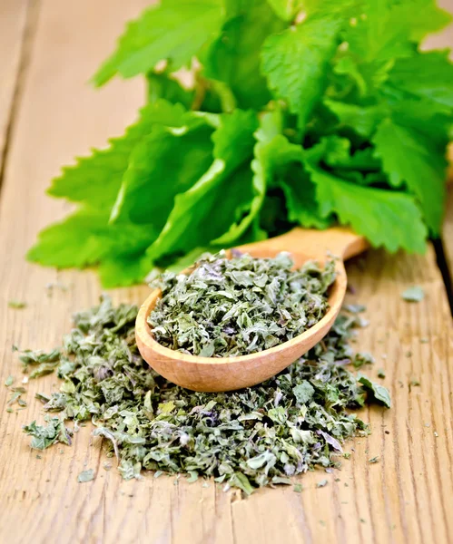 Herbal tea of mint leaves dry on a spoon — Stock Photo, Image