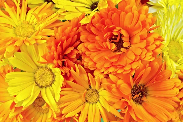 Calendula flowers yellow and orange bouquet — Stock Photo, Image