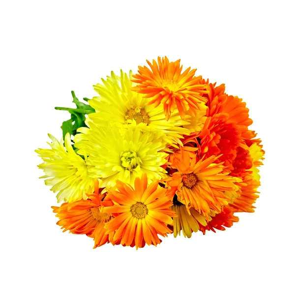 Ringelblume gelb und orange Bouquet — Stockfoto