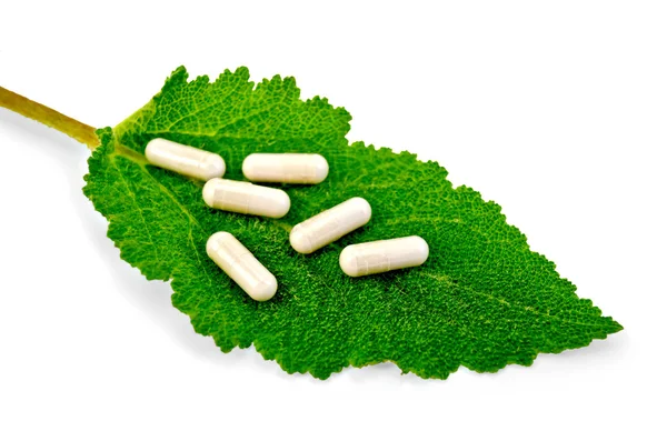 Capsules beige on green leaf sage — Stock Photo, Image
