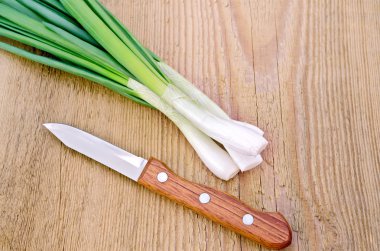 gemide bıçakla Chives