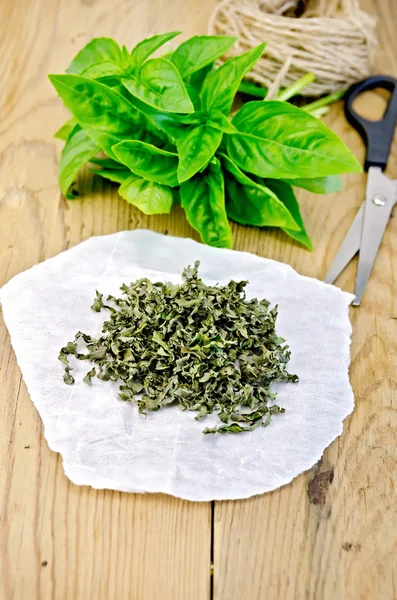 Basil green fresh and dry on paper with scissors — Stock Photo, Image
