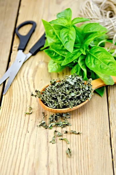 Basil green fresh and dry in spoon with scissors — Stock Photo, Image