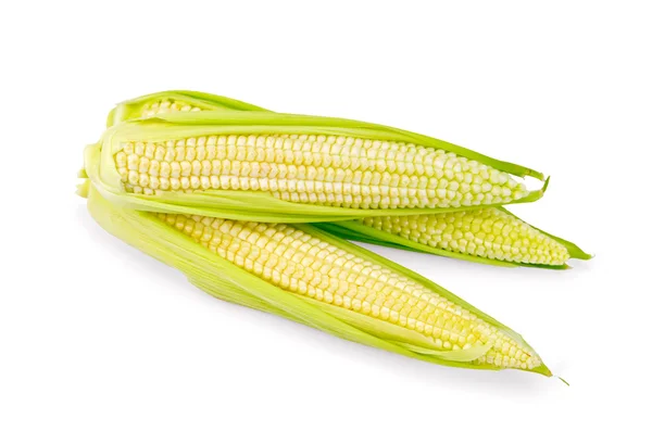 Corn cobs — Stock Photo, Image