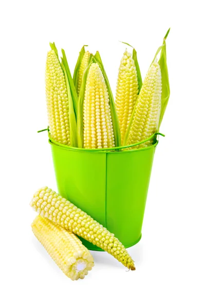 Corn on the cob in a green bucket — Stock Photo, Image