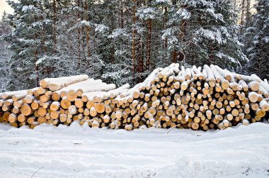 Stack of wood in the winter on a background of trees, snow, sky stock vector