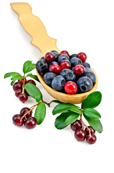 Blueberries and cowberry in a spoon with leaf — Stock Photo, Image