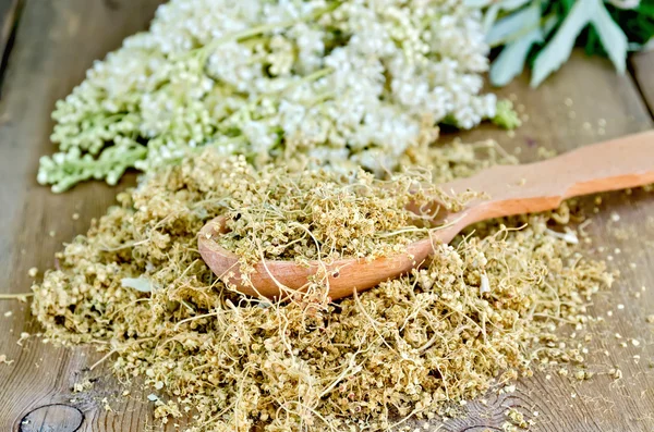 Tisana di meadowsweet su cucchiaio — Foto Stock