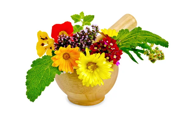 Herbs and flowers in a mortar — Stock Photo, Image