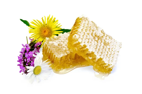 Honeycomb with flowers — Stock Photo, Image