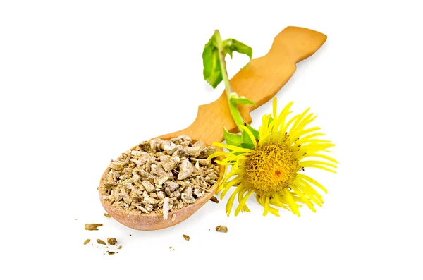 Radice di Elecampane su un cucchiaio con fiore — Foto Stock