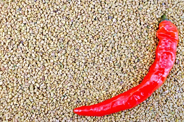 Bockhornsklöver textur med peppar — Stockfoto