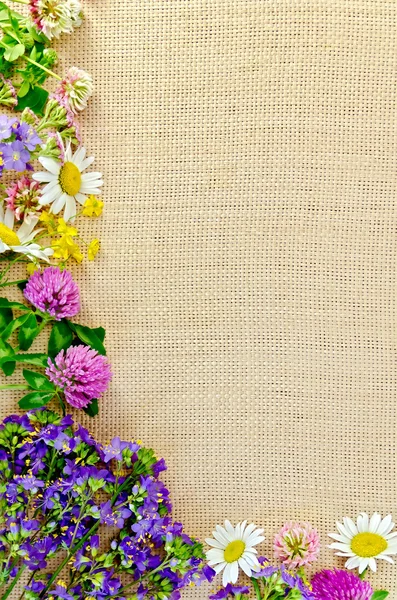 Frame of wild flowers on sackcloth 1 — Stock Photo, Image