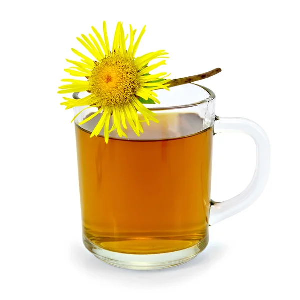 Chá de ervas com elecampano em uma caneca de vidro — Fotografia de Stock