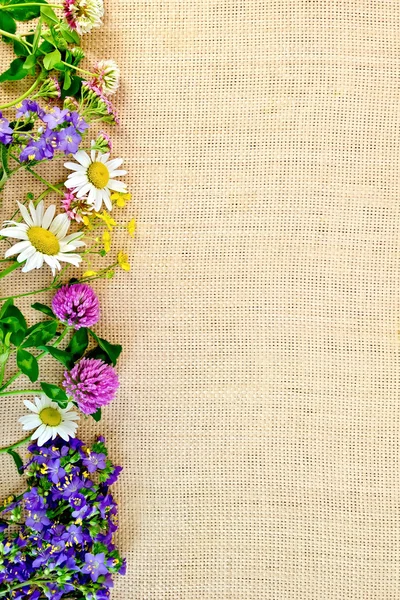 Wildblumengestell auf Sacktuch 2 — Stockfoto