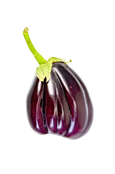 Berenjena morada — Foto de Stock