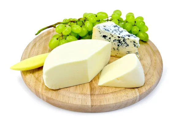 Cheese blue and suluguni on round board — Stock Photo, Image