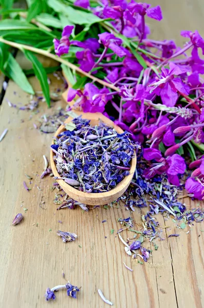 Herbal tea from fireweed on wooden spoon — Stock Photo, Image