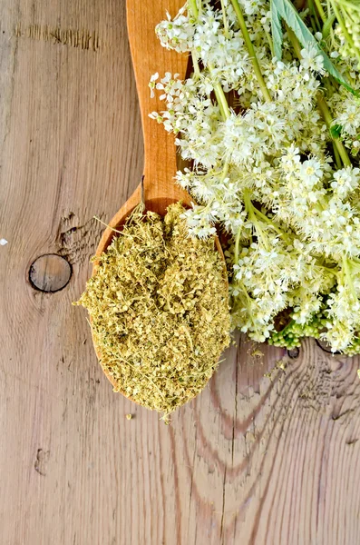 Chá de ervas de meadowsweet em colher de madeira — Fotografia de Stock