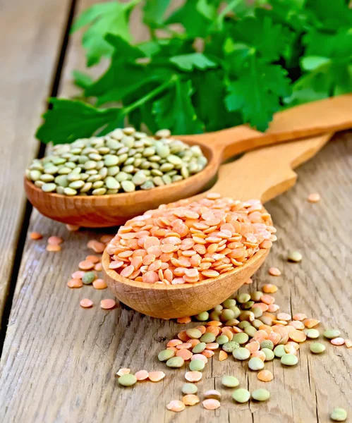 Lentils red and green in wooden spoons on board — Stock Photo, Image