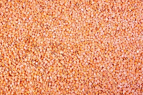 Lentils red texture — Stock Photo, Image