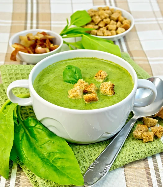 Suppenpüree mit Spinat und Löffel auf Stoff — Stockfoto