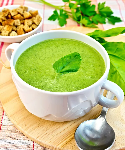 Puré de sopa con hojas de espinaca y cuchara sobre tela — Foto de Stock