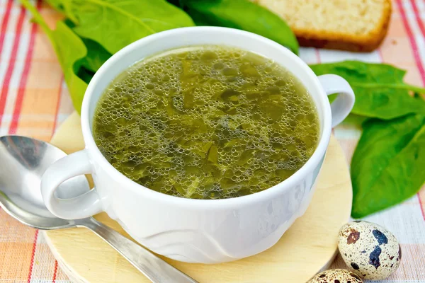 Polévka zelení na látku s lžičkou — Stock fotografie