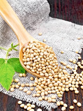 Soya fasulyesi kaşıkta, yeşil yaprak tahta arka planda çuval bezinde.