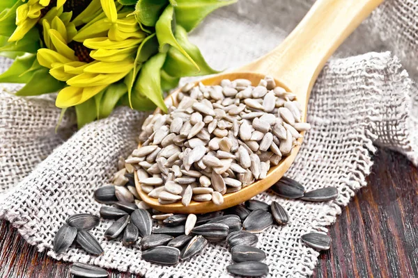 Sunflower Seeds Peeled Spoon Seeds Shell Burlap Sunflower Flower Dark — Stock Photo, Image