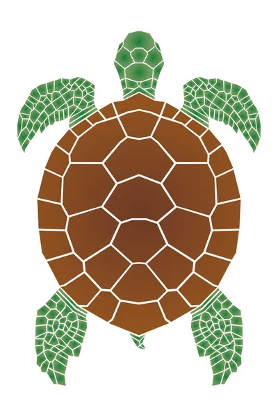 Tortuga marina — Vector de stock