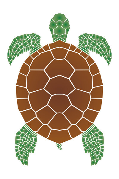 Морская черепаха
