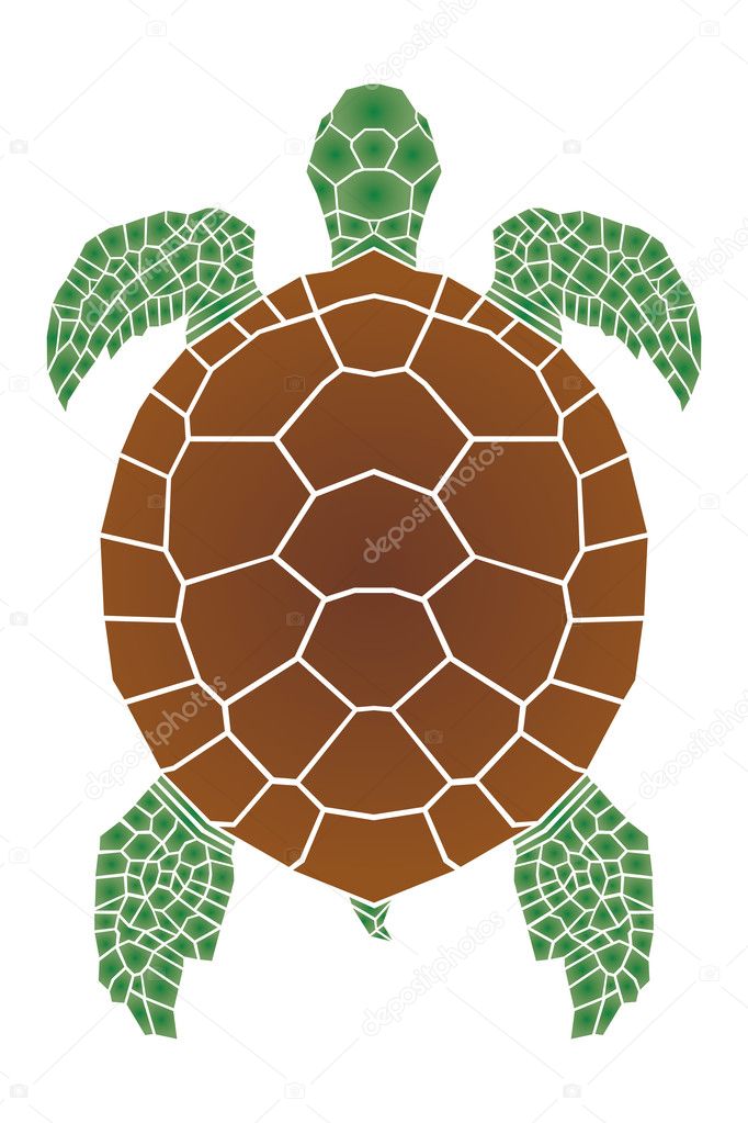 Sea turtle