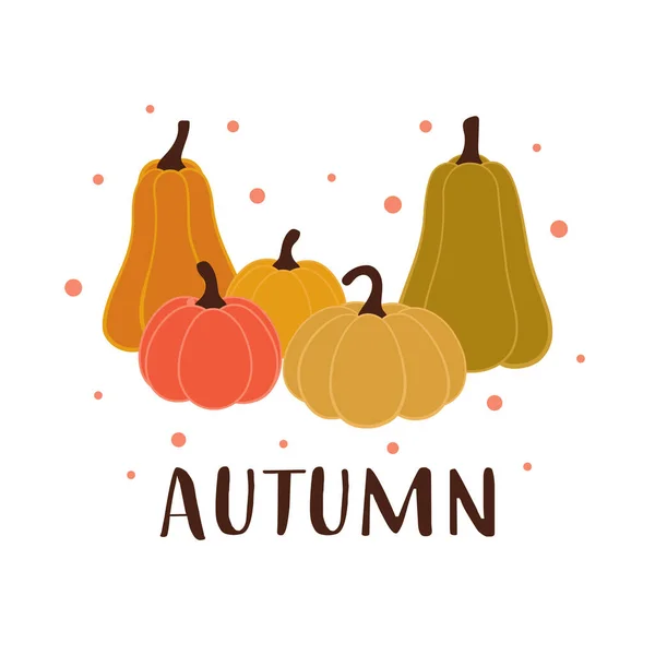 Farbige Herbstkarte Mit Niedlichen Kürbissen Und Schriftzug Isoliert Auf Weißem — Stockvektor