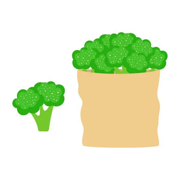 Tecknad Broccoli Isolerad Vit Bakgrund Papper Shoppingväska Med Ekologiska Grönsaker — Stock vektor