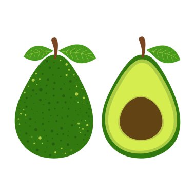 Beyaz arka planda taze ve yarım avokado seti, düz çizgi film şeklinde organik yiyecekler.