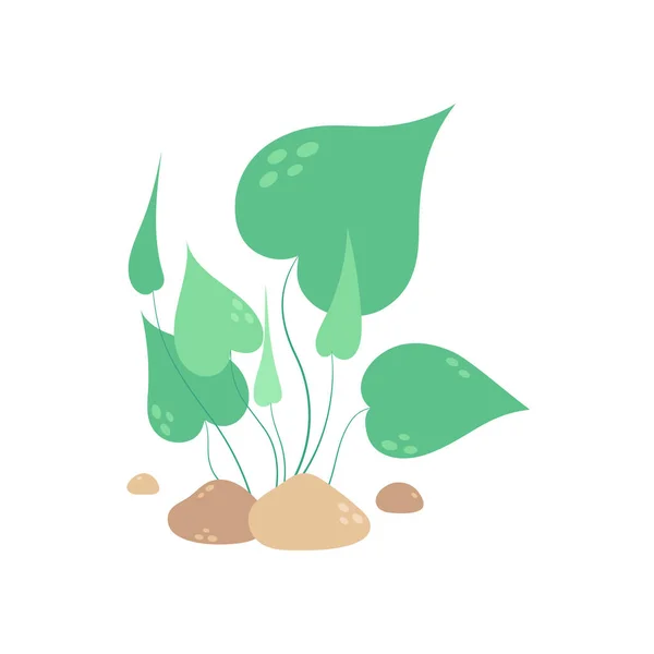 Ilustração Vetorial Com Algas Verdes Marinhas Isoladas Branco Design Simples — Vetor de Stock