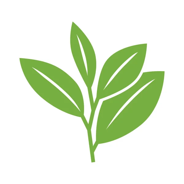 Çay Yaprağı Ikonu Bitki Filizi Ikonu Eko Çevre Büyüme Sembolü — Stok Vektör